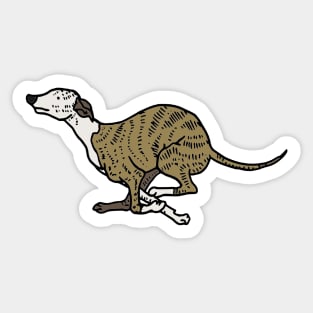 Whippet illustration Sticker